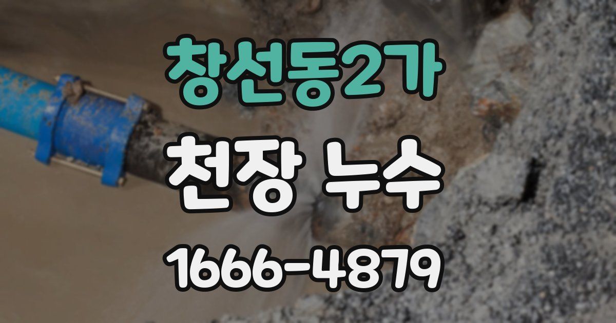 창선동2가 천장 누수