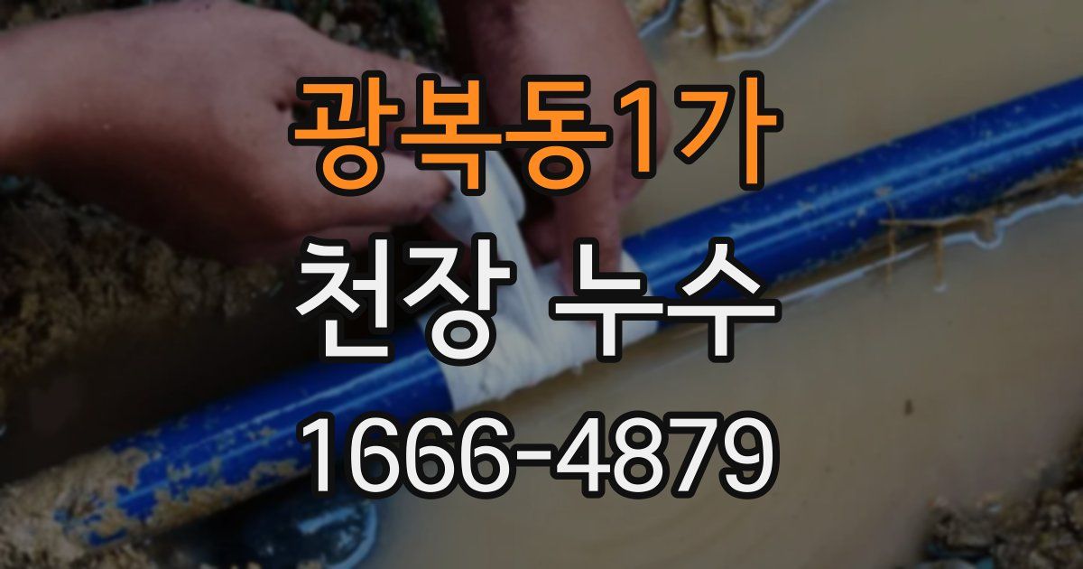 광복동1가 천장 누수