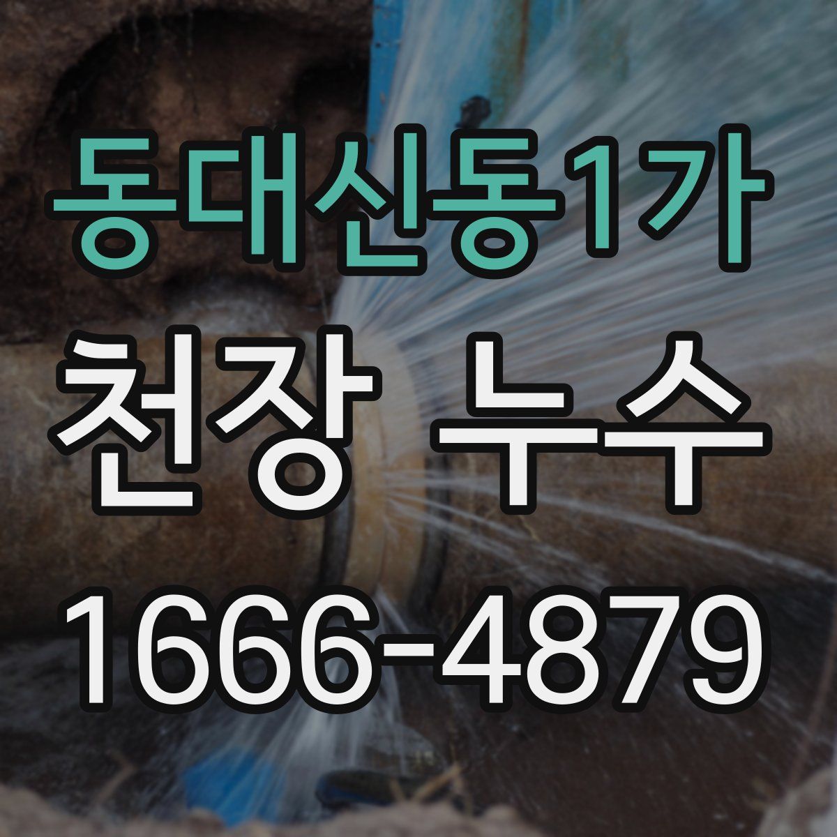 동대신동1가 천장 누수