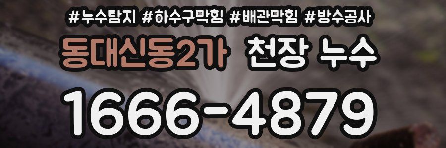 동대신동2가 천장 누수