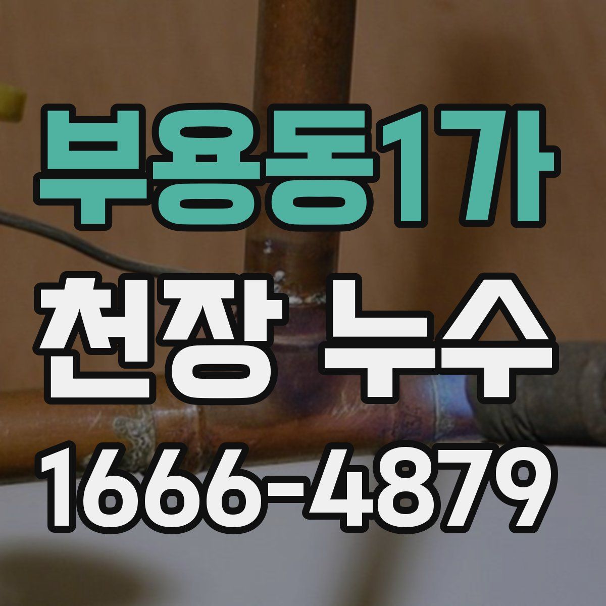 부용동1가 천장 누수