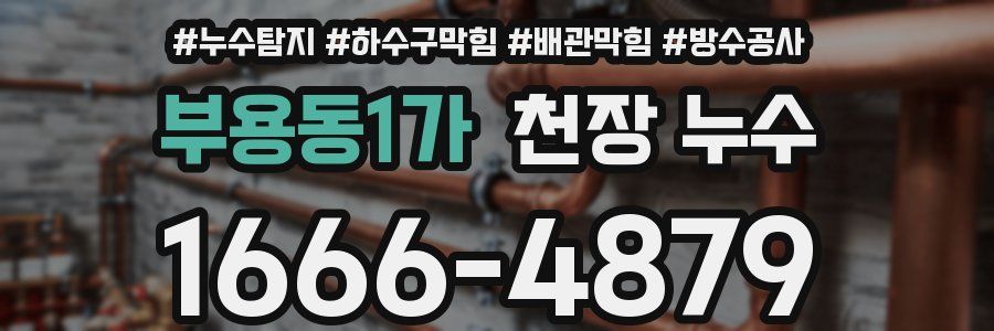 부용동1가 천장 누수