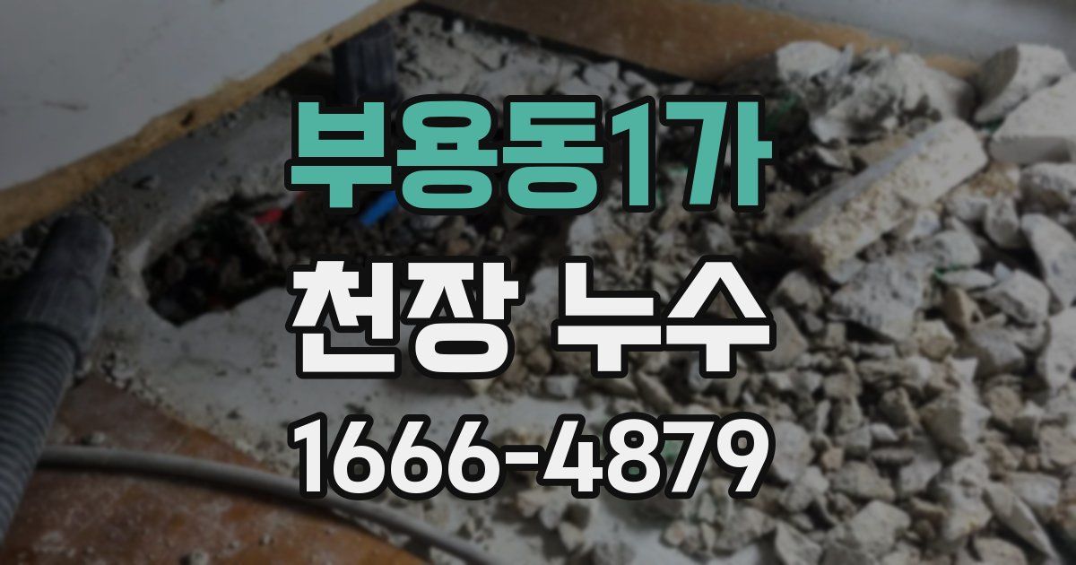 부용동1가 천장 누수