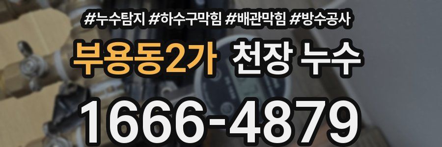 부용동2가 천장 누수