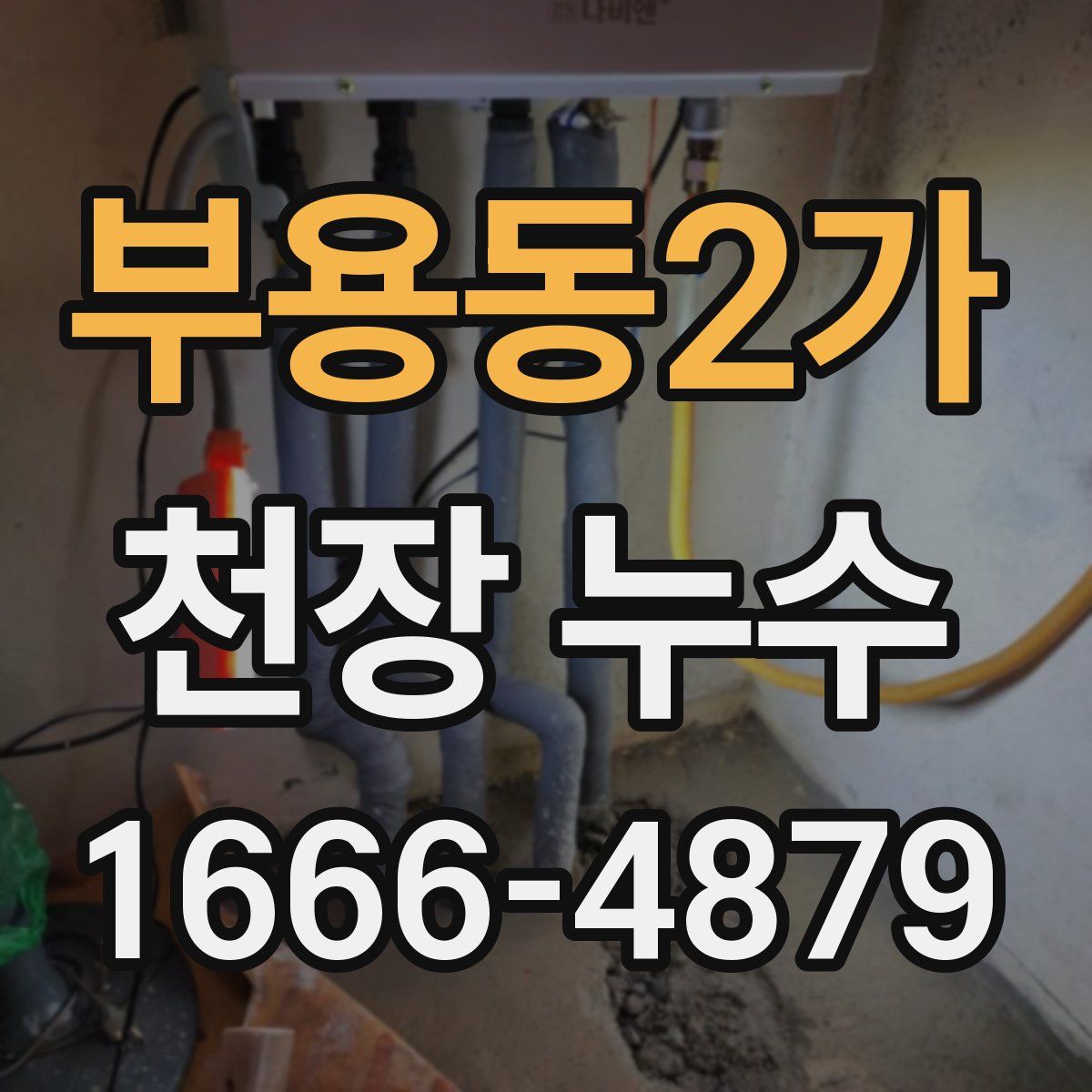 부용동2가 천장 누수