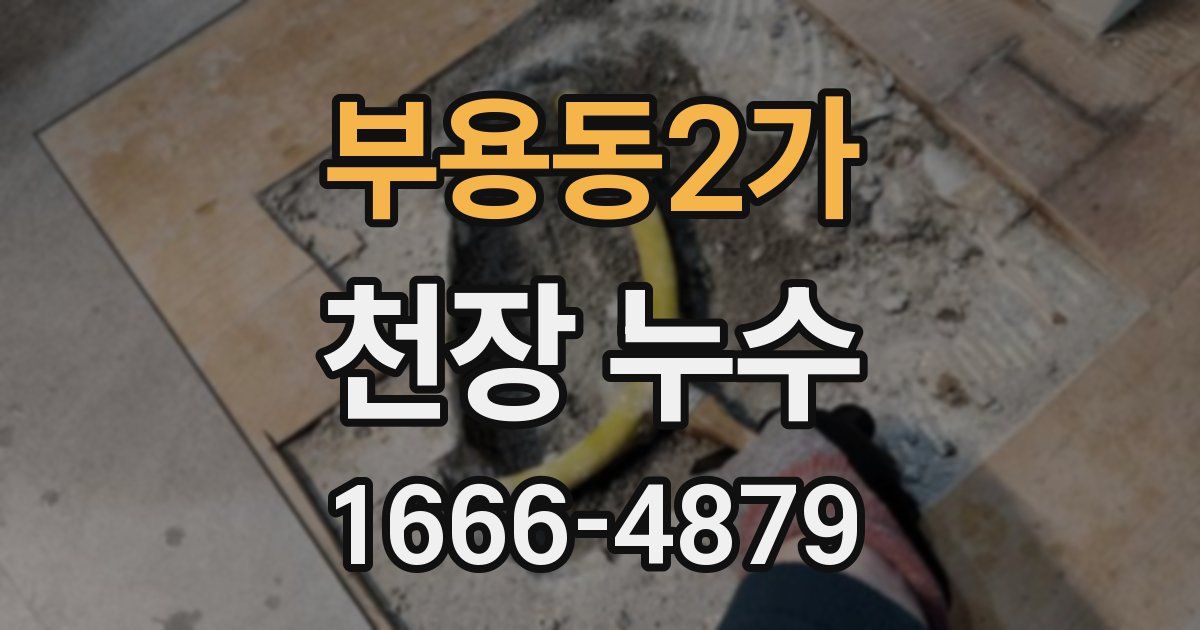 부용동2가 천장 누수