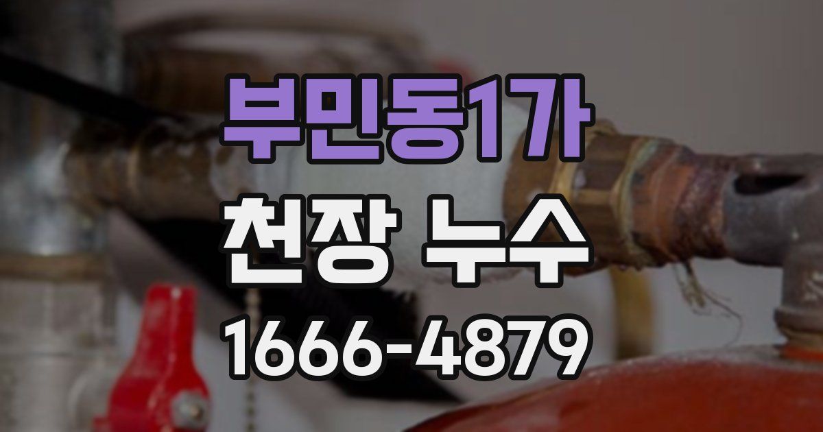 부민동1가 천장 누수
