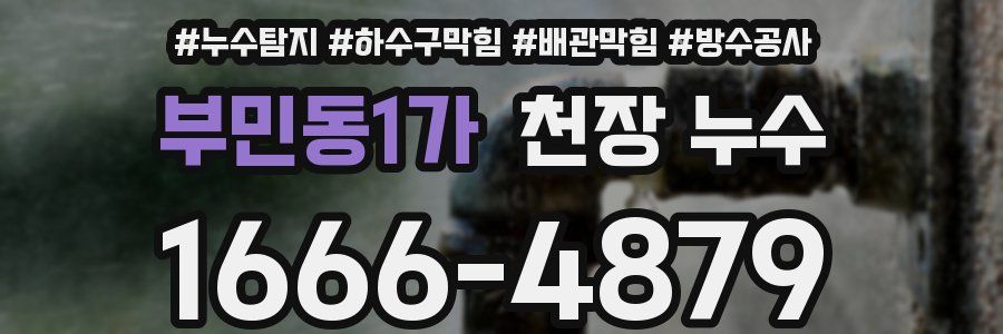 부민동1가 천장 누수