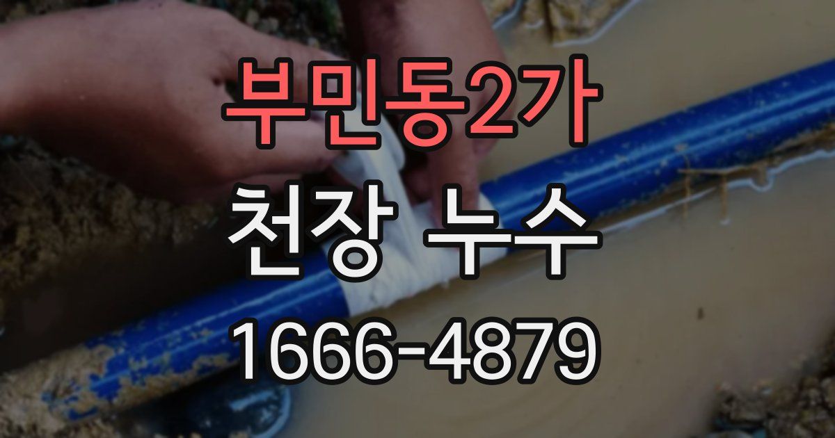 부민동2가 천장 누수