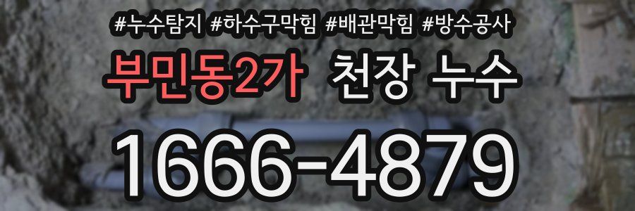 부민동2가 천장 누수