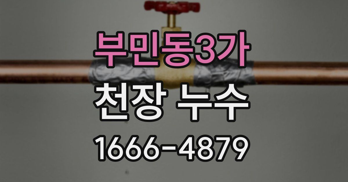 부민동3가 천장 누수