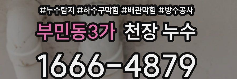 부민동3가 천장 누수
