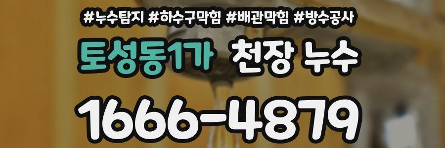 토성동1가 천장 누수