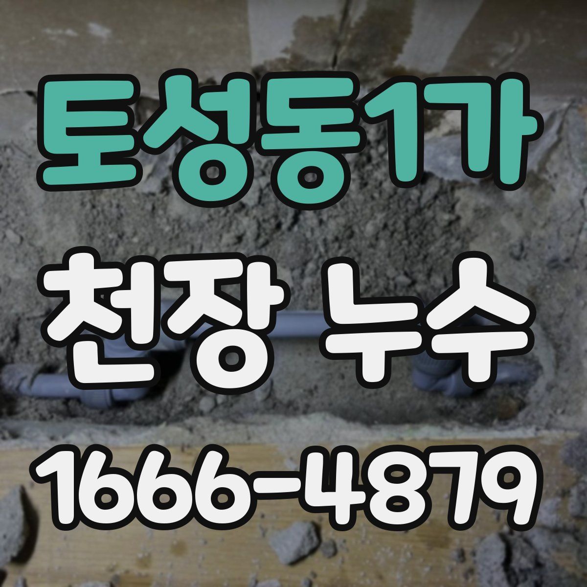 토성동1가 천장 누수