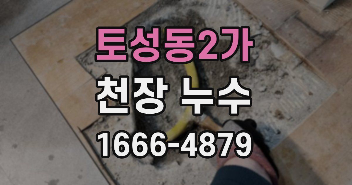 토성동2가 천장 누수