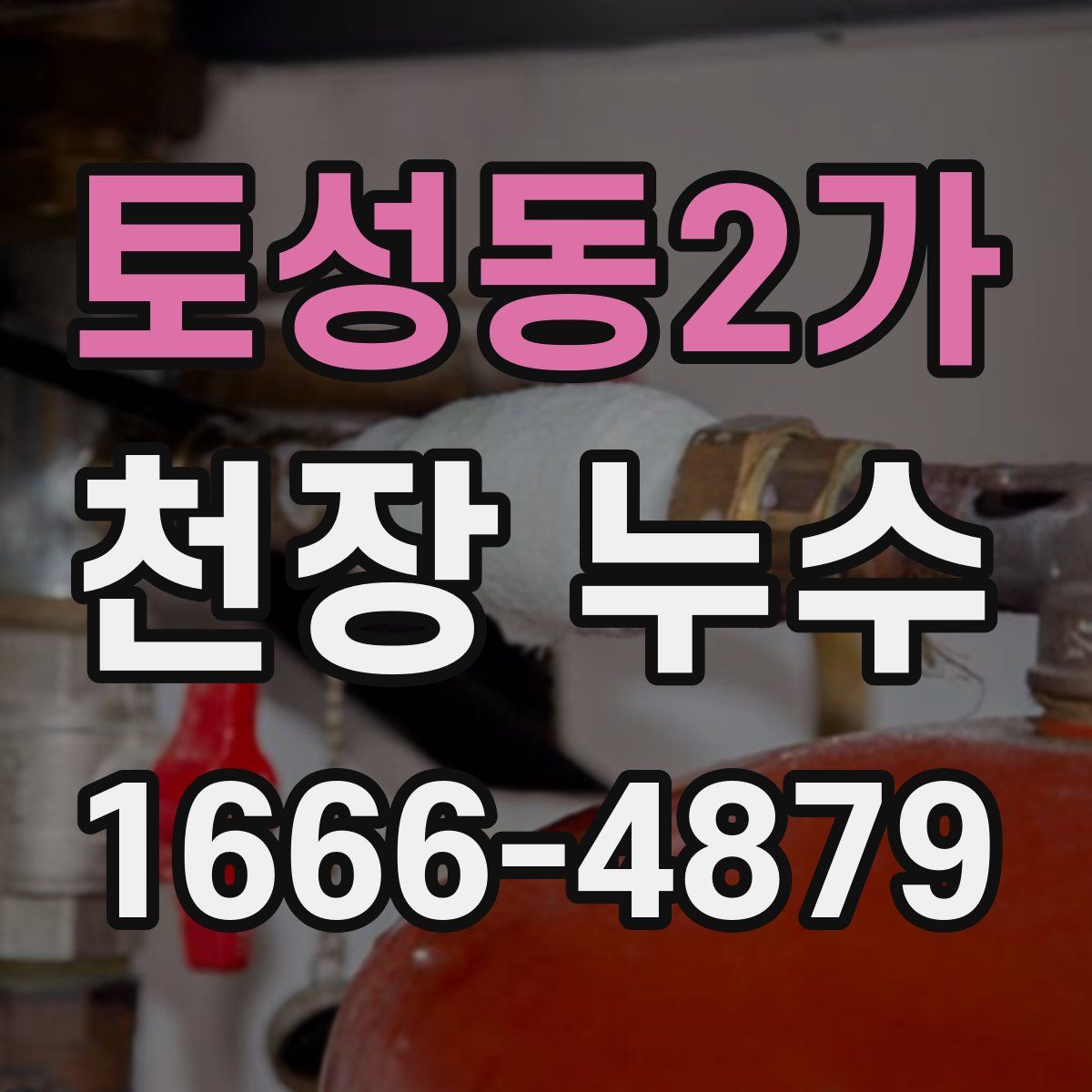 토성동2가 천장 누수