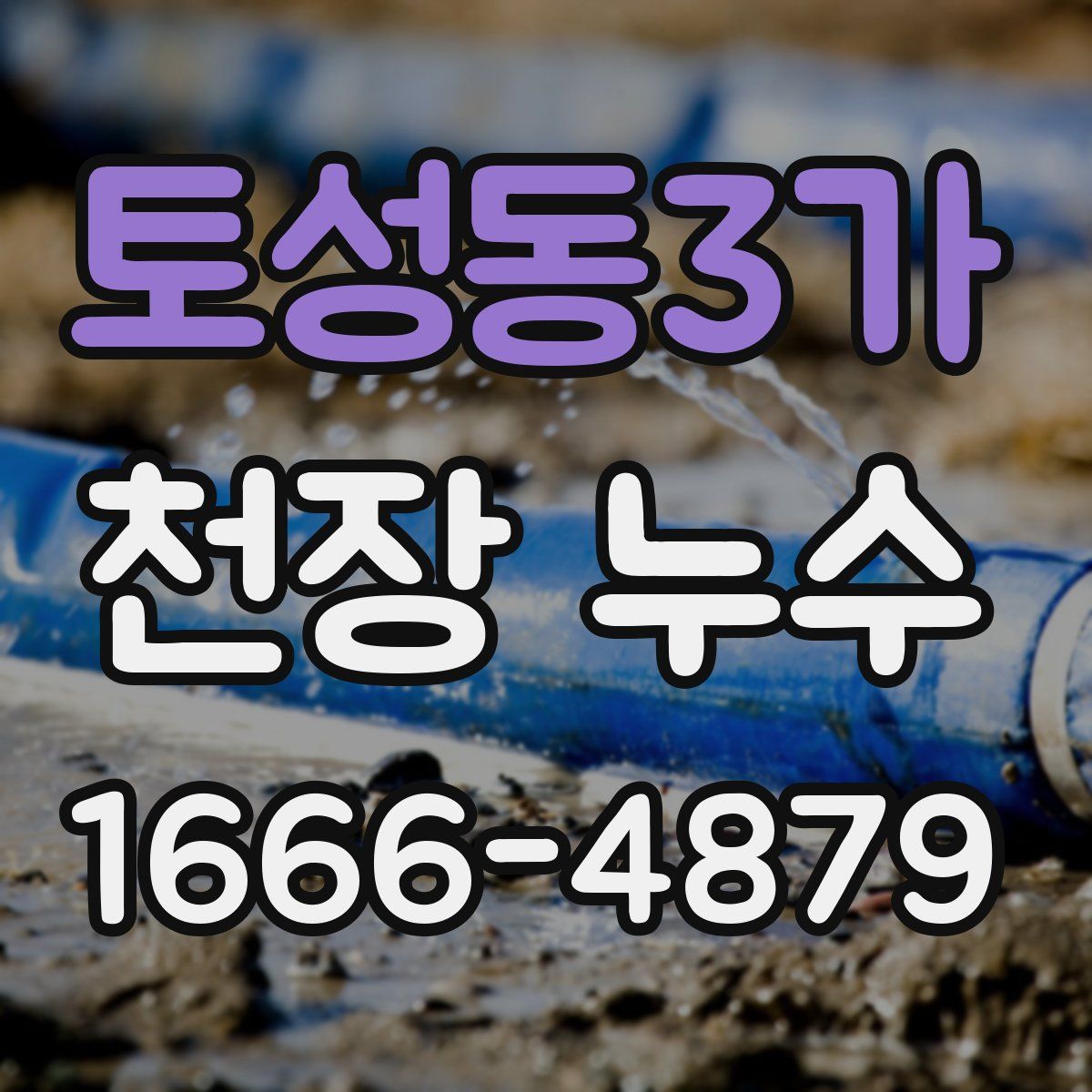 토성동3가 천장 누수