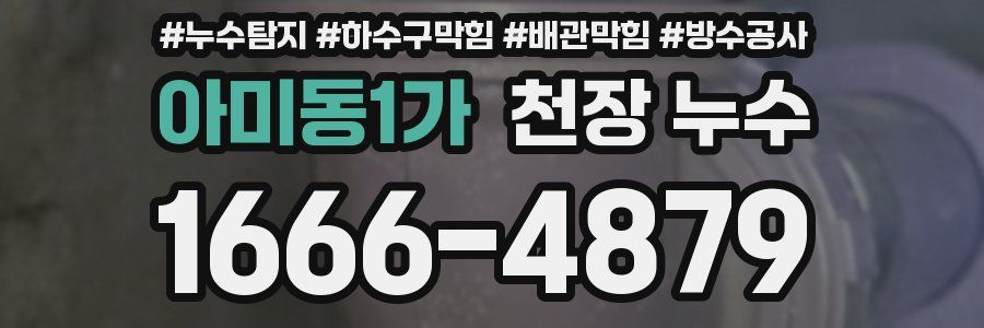 아미동1가 천장 누수