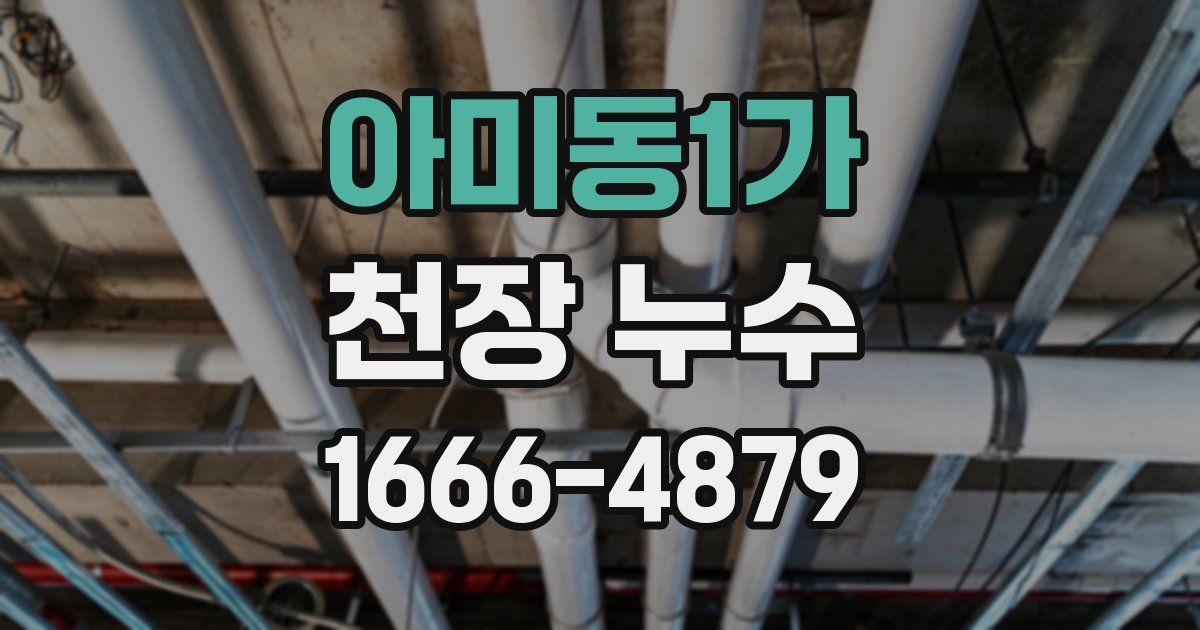 아미동1가 천장 누수