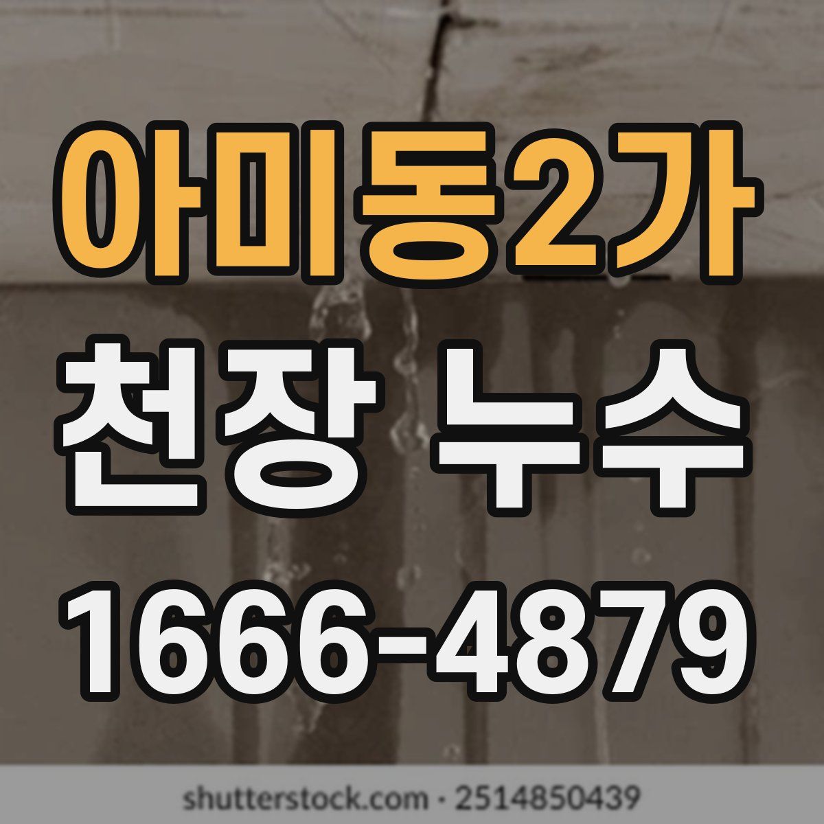 아미동2가 천장 누수