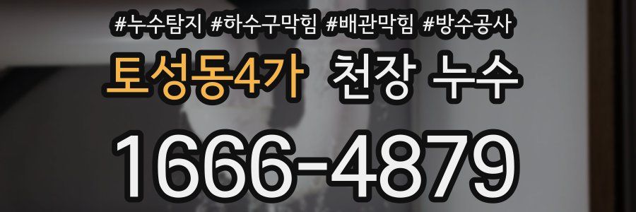 토성동4가 천장 누수