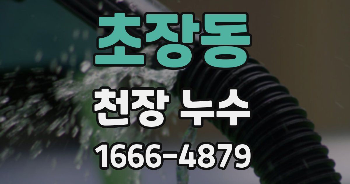 초장동 천장 누수