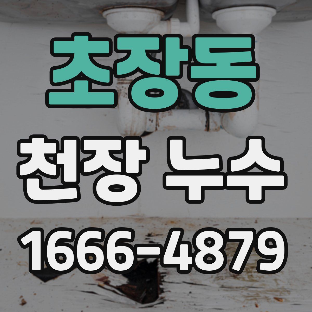 초장동 천장 누수
