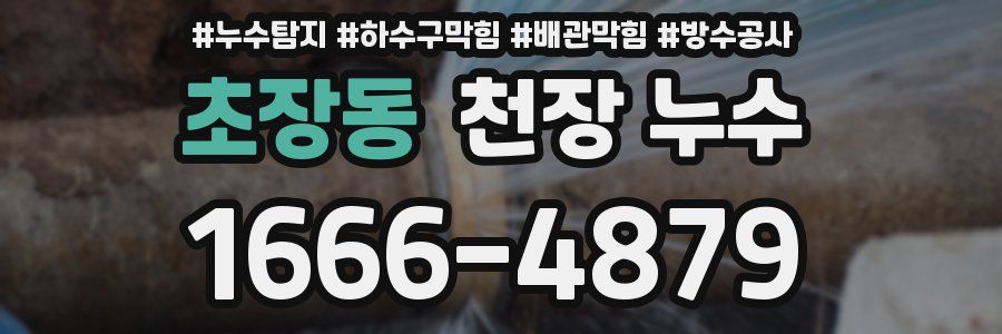 초장동 천장 누수