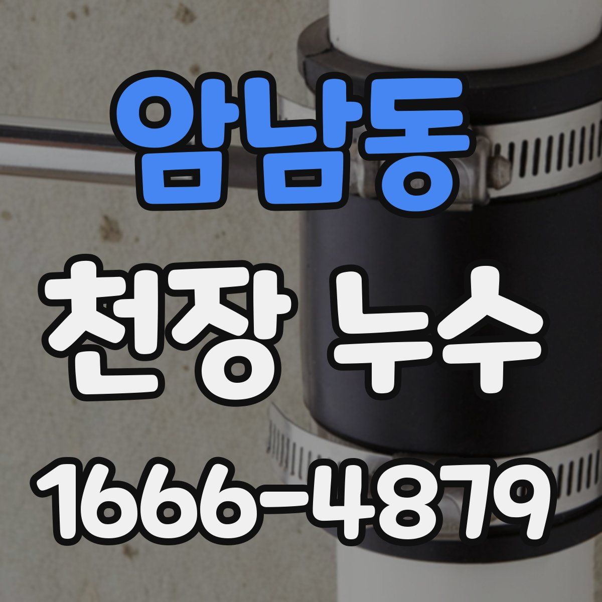 암남동 천장 누수