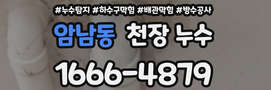 암남동 천장 누수