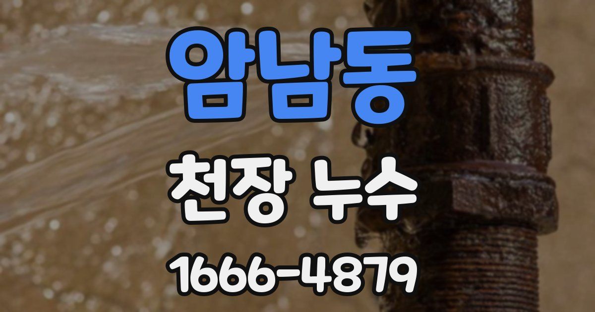 암남동 천장 누수