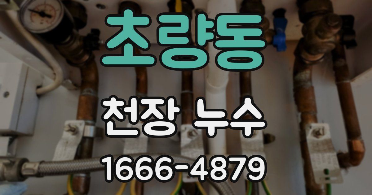초량동 천장 누수