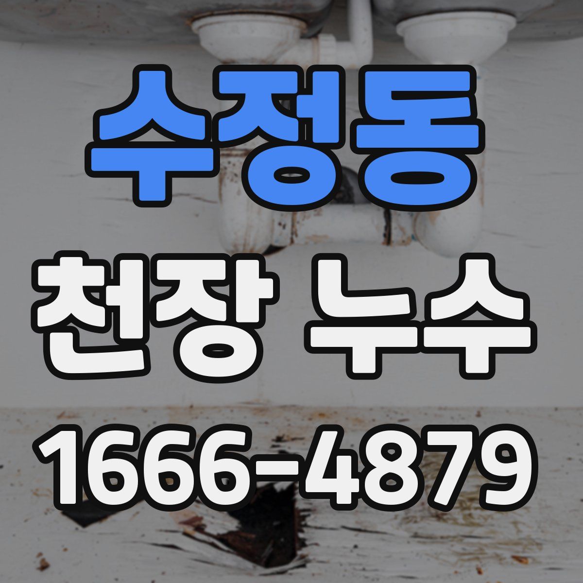 수정동 천장 누수