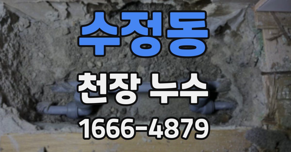 수정동 천장 누수