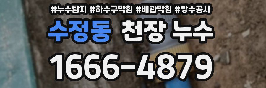 수정동 천장 누수