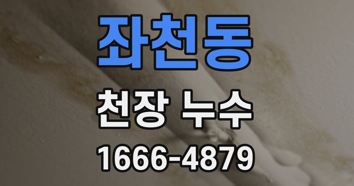 좌천동 천장 누수