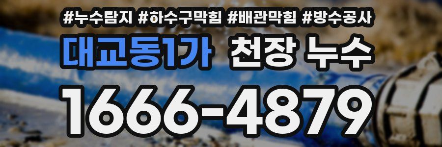 대교동1가 천장 누수