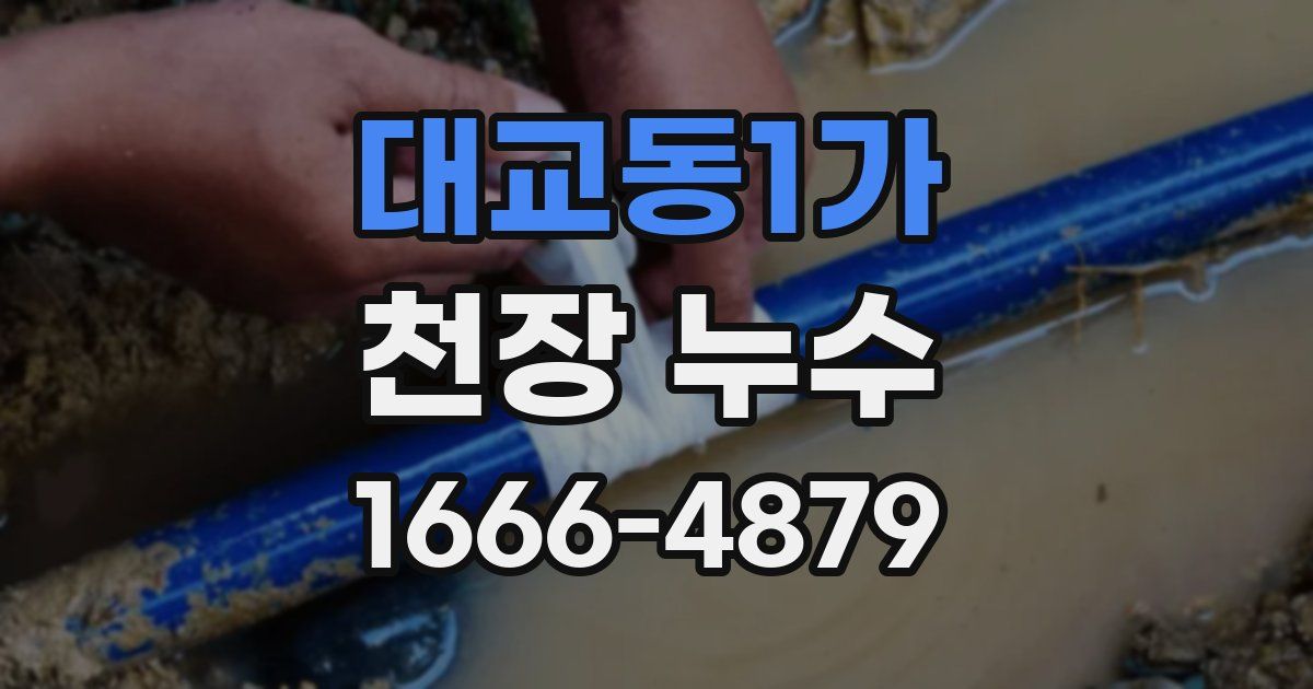 대교동1가 천장 누수