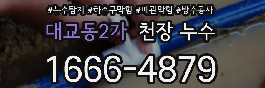 대교동2가 천장 누수