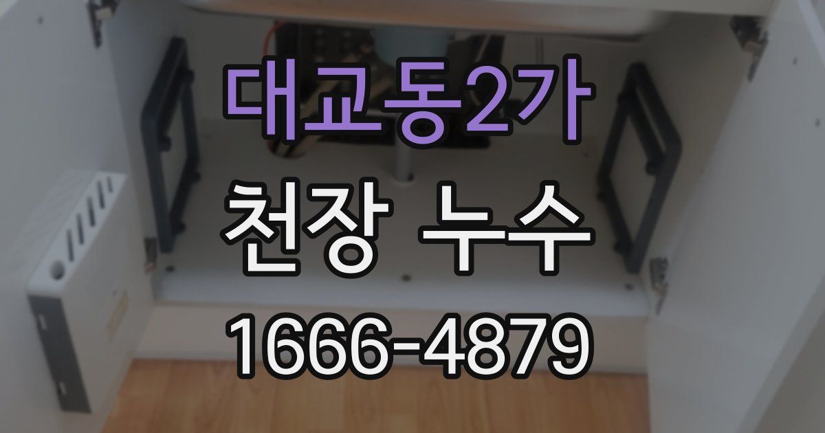 대교동2가 천장 누수