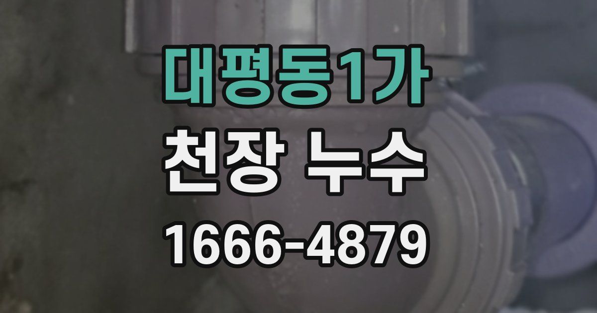 대평동1가 천장 누수