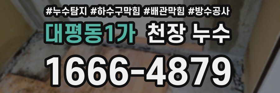 대평동1가 천장 누수
