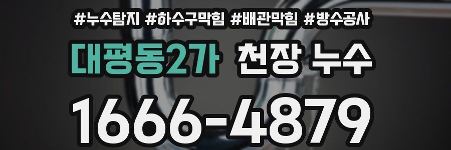대평동2가 천장 누수