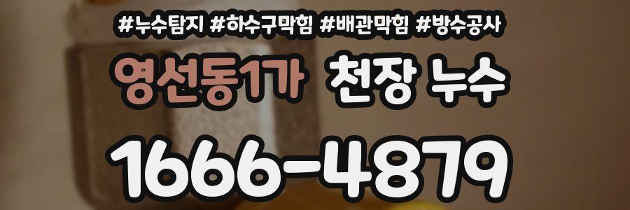 영선동1가 천장 누수