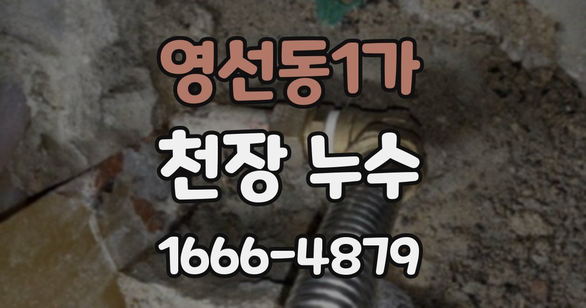 영선동1가 천장 누수