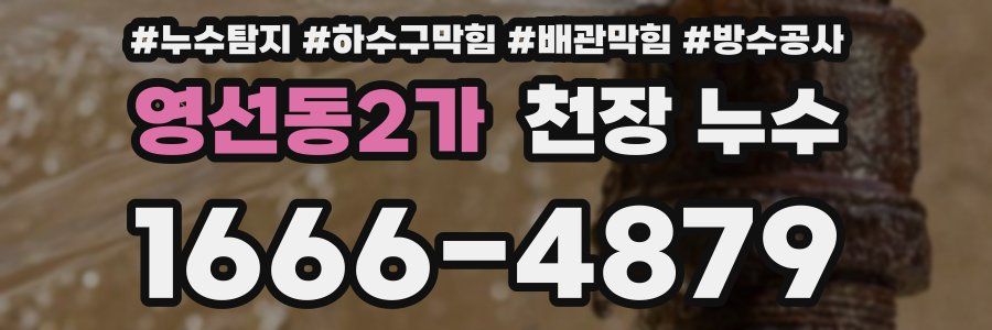 영선동2가 천장 누수