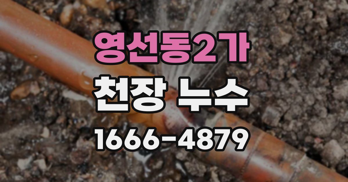 영선동2가 천장 누수