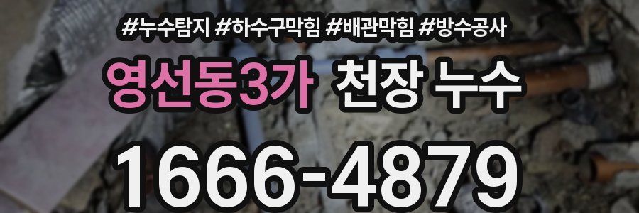 영선동3가 천장 누수
