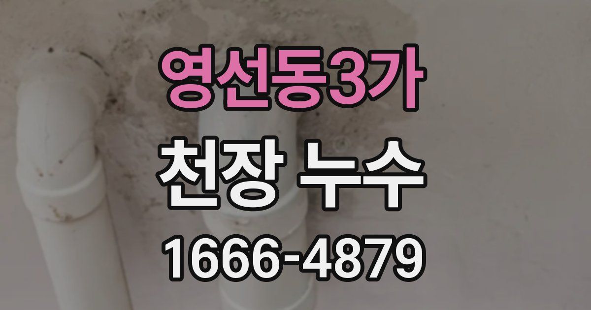 영선동3가 천장 누수