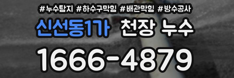 신선동1가 천장 누수